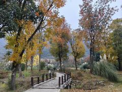 -贵阳市花溪国家城市湿地公园