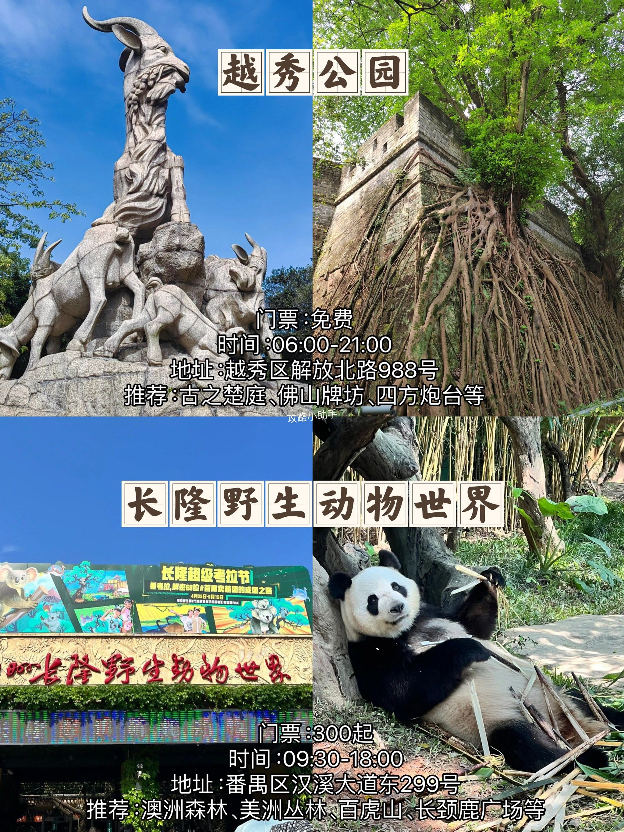 广州12个最值得带孩子去的亲子遛娃好去处