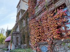 -半岛1919创意园区