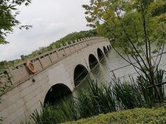 -昆山城市生态森林公园