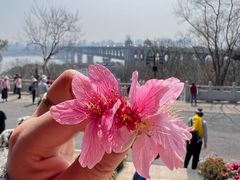 -龟山风景区-龟山电视塔