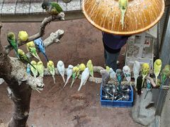 -正佳雨林生态植物园
