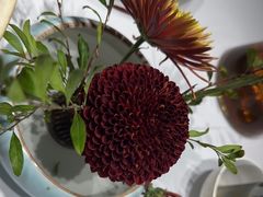 -食悦江南·淮扬菜·烤鸭(亚运村·惠新店)