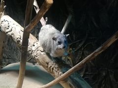 -北戴河圣蓝海洋公园