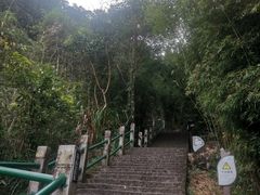-南昆山川龙瀑布