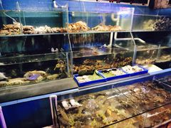 -辉记炭烧海鲜大排档·老字号(福田店)