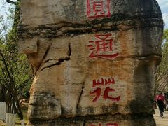 -昆明动物园