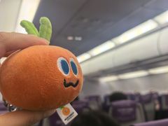 -青岛胶东国际机场