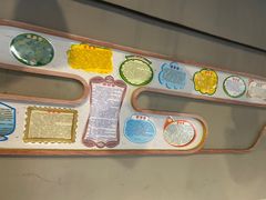 -新盈光·旗舰店(海曙苍松路店)
