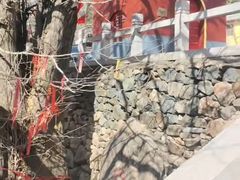 -北京鹫峰国家森林公园
