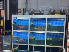 -金龙·打边炉(南京西路店)