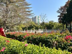 -晓港公园