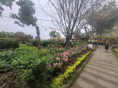 -苏记溪河鲢鱼庄(天府新区店)