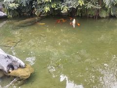 -柳侯公园