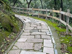 -大岭沟猕猴桃谷风景区