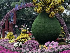 -杭州植物园