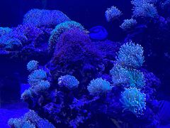 -海合安武汉极地海洋公园