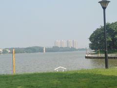 -仙湖旅游度假区