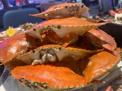 -半岛听涛蒸汽海鲜自助(K11店)