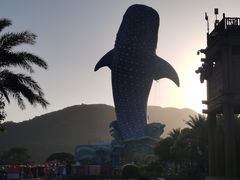 -珠海长隆海洋王国