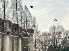 -音乐台
