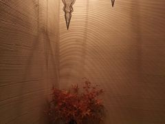 -Dragonfly悠庭·按摩Spa(静安嘉里中心店)