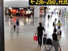 -麦当劳(郑州新郑机场)
