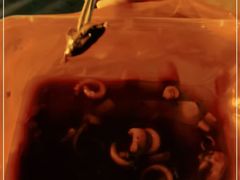 -同济牌坊美贤牛什