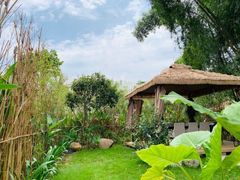 -南宁良凤江国家森林公园