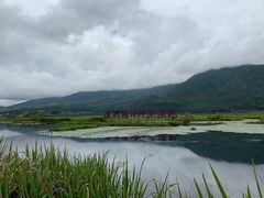 -腾冲北海湿地