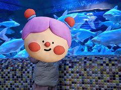 -成都浩海立方海洋公园