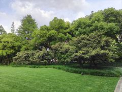 -静安公园(静安寺街道)