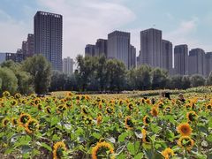 -长白岛森林公园