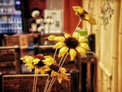 -蘭葶花酒馆(鼓楼店)