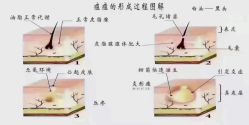 -安吉拉青春化管理中心