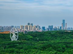 -宜兴龙背山森林公园