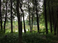 iphone_upload_pic-厦门悦华酒店