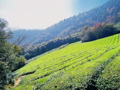 -敬亭山风景名胜区
