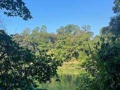 -广州市流溪河国家森林公园