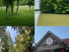 -上海海湾国家森林公园