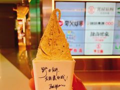 -野人先生现做冰淇淋(北京王府井东方新天地店)