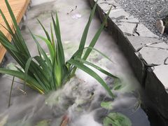-漫山居私汤民宿全竹宴