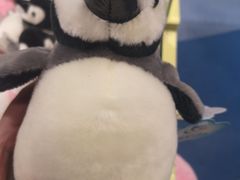 -多彩贵州城极地海洋世界