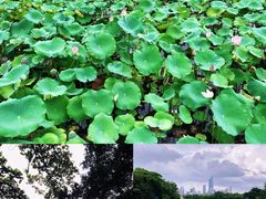 -东山湖公园