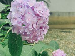 -木渎古镇