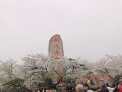-武汉大学-樱园