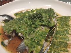 -一轩饺子馆(丽都店)