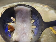 -千岛蚝高压锅生蚝·人参火锅(白云万达店)