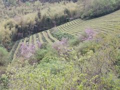 景点-敬亭山风景名胜区