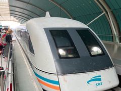 -龙阳路磁悬浮列车总站-停车场